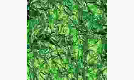 Полисилк 1x20м / зеленый+изумруд